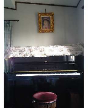 ACO PIANO.JPG - 14,048BYTES