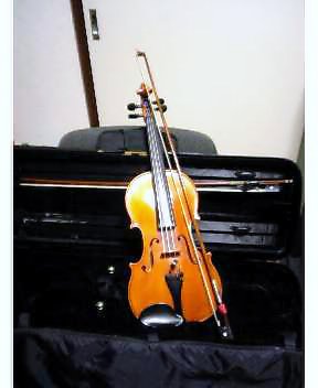 VIOLIN.JPG - 16,875BYTES